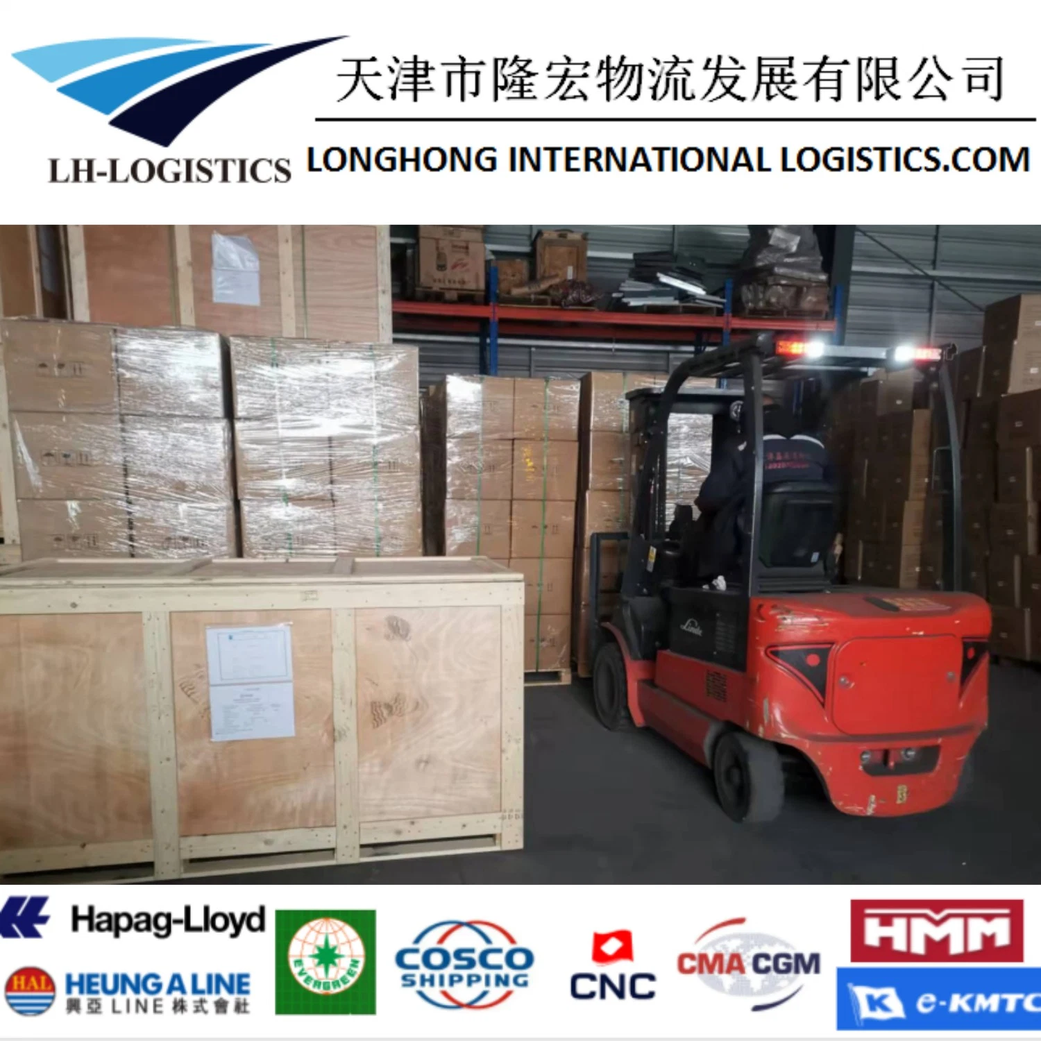 Professional Ocean Shipping Sea Freight Shipping From Shanghai, China to Chittagong, India and Pakistan.