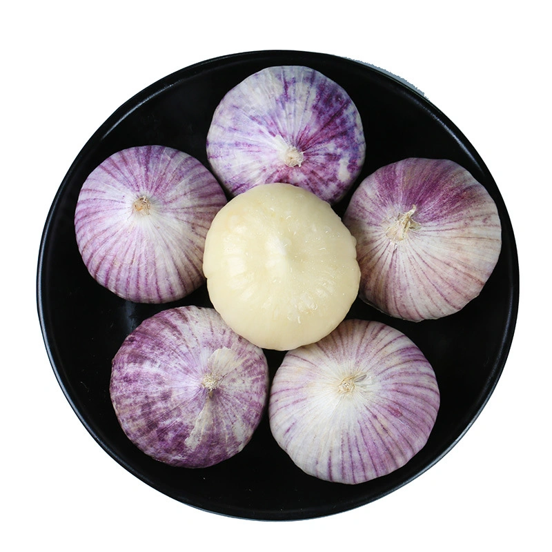 China Exports Fresh Vegetables Naturally Grown Garlic Fresh Garlic in Bulk Wholesale/Supplier