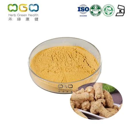 China Fabricante suministro de Extracto de planta Natural polisacárido 20% polvo Panax Extracto de raíz de ginseng americano de quinquefolium