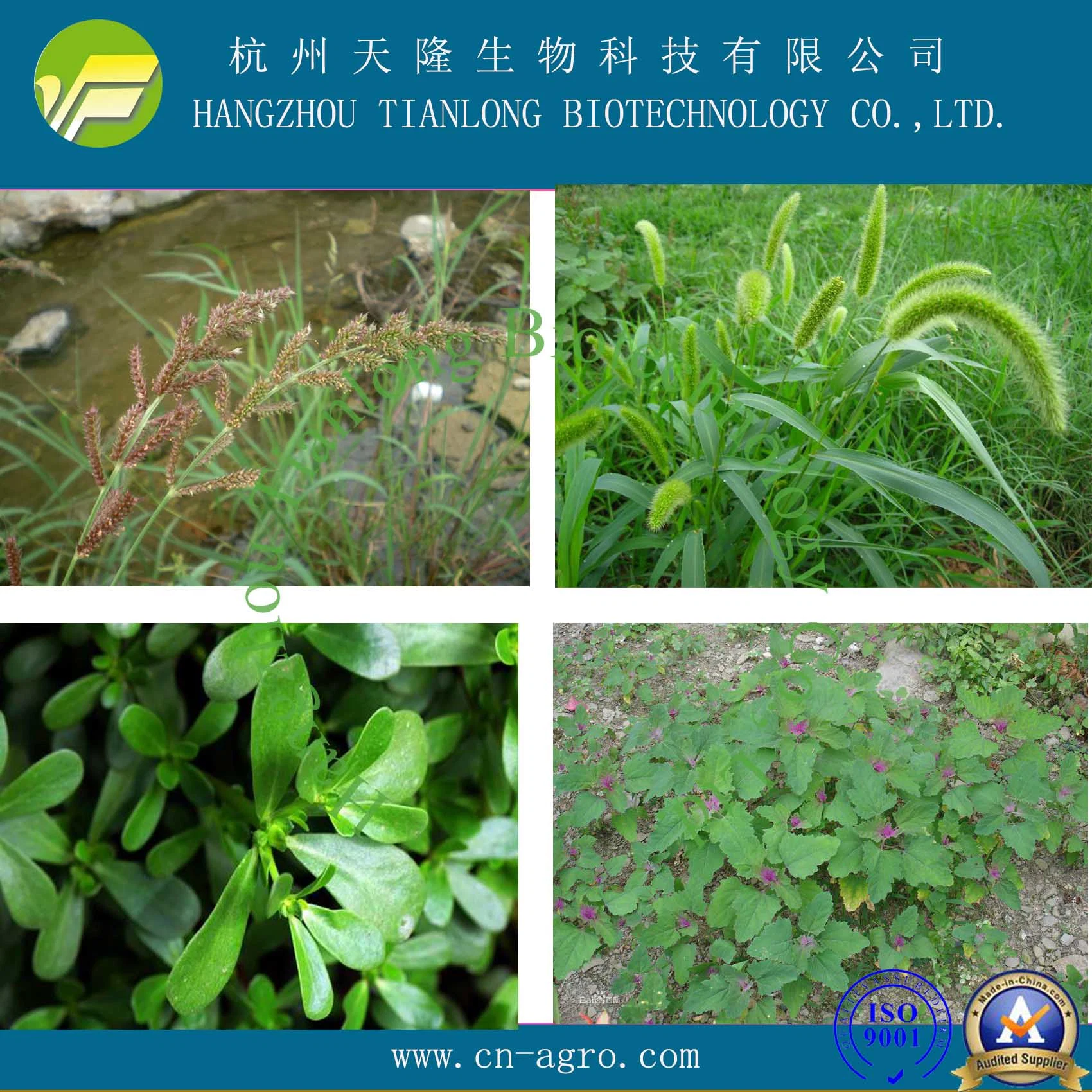 Herbicide Bromacil 80%WDG