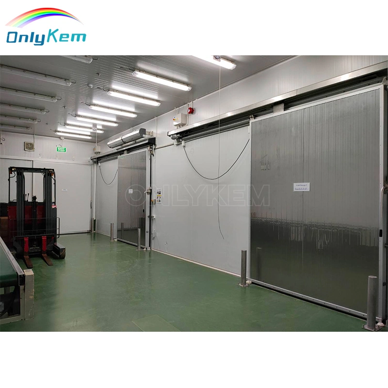 Freezer/Chiller/Cool/Cold Storage Room with Compressor Refrigeration Unit for Meat/Vegetables/Fish/Fruit