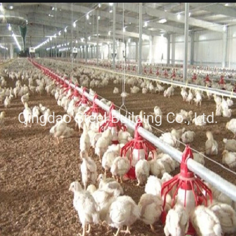 Prefabricated Steel Structure Cage Feed Poultry Chicken Broiler House Shed Sale