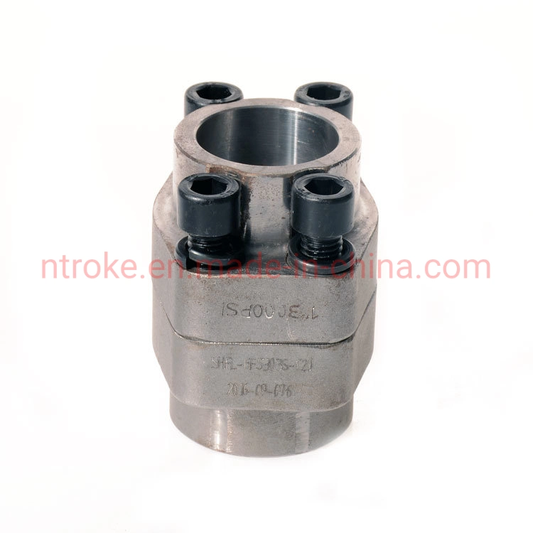 SAE J518, ISO 6162.2 Heavy 6000psi SAE Socket Weld Flange Coupling