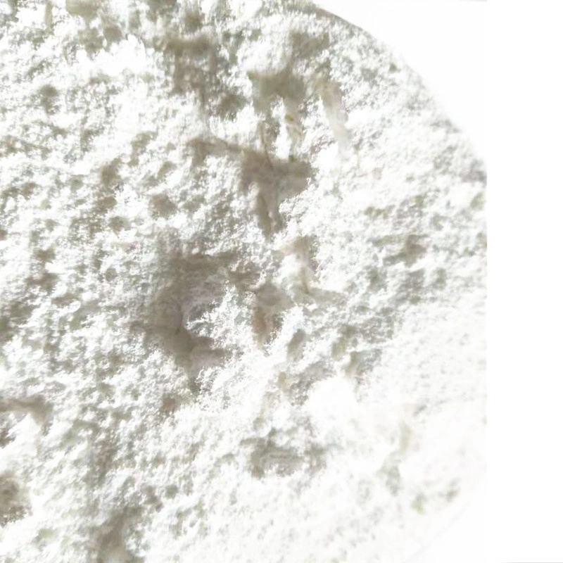 Factory Direct Price High Purity 99.9% Nano Grade Food Additive Zinc Oxide