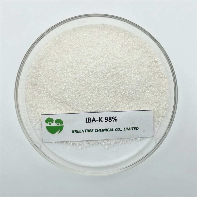 Iba-K Indole Butyric Acid Potassium Salt 98%Tc Plant Growth Regulator CAS 60096-23-3