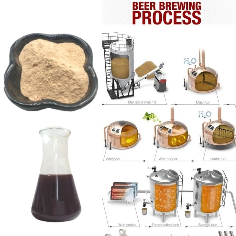 Beer Enzyme Glucoamylase/Thermostable /Alpha-Amylase/ Beta -Amylase / Liquid Glucoamylase