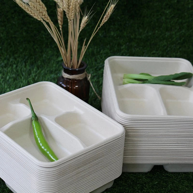 Watsonpak Environmental Protection Microwave Co Sugarcane Bagasse Bamboo Pulp Disposable Food Service Pulp Paper Compartment Biodegradable Tray with Lid