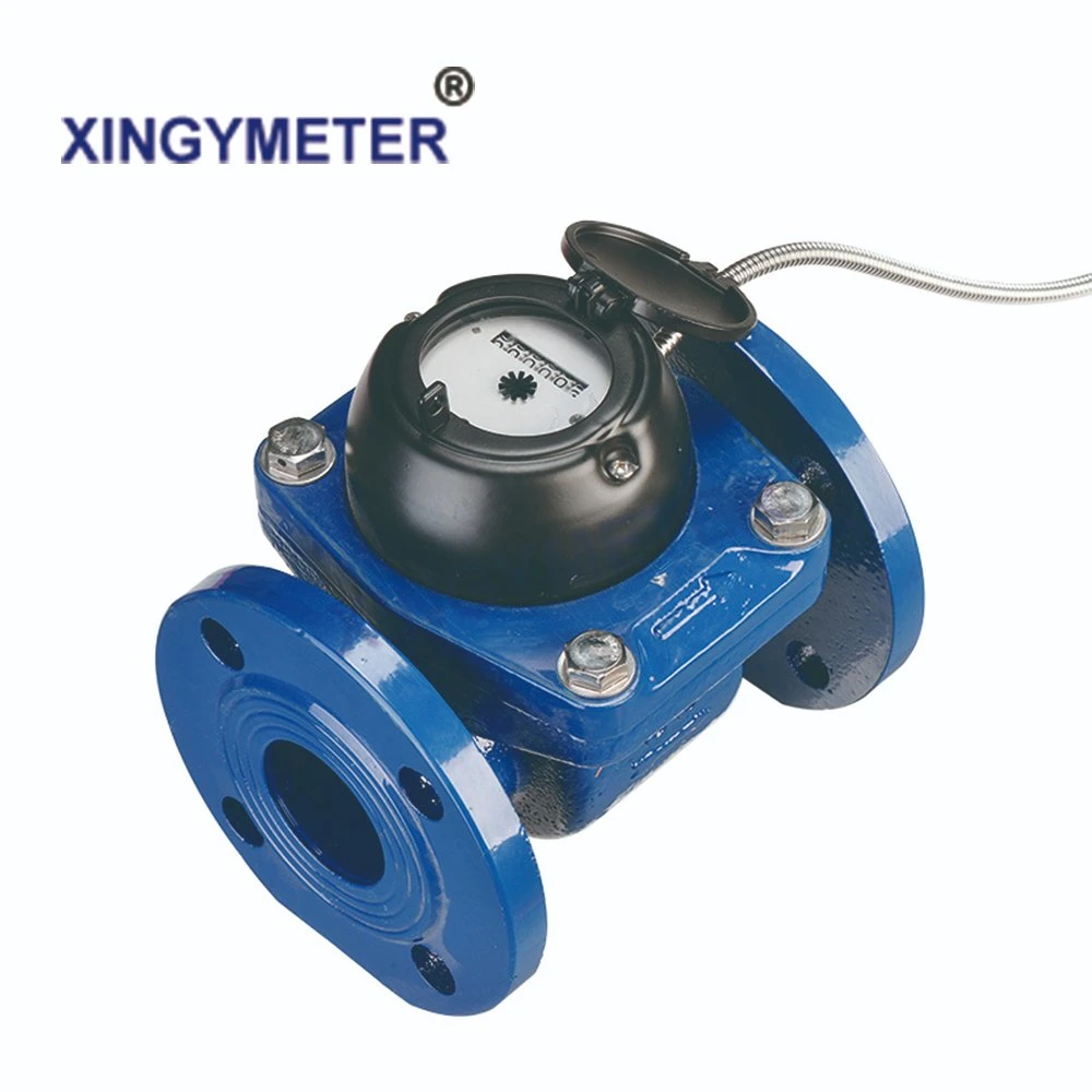 Woltman Water Meter Mini Type