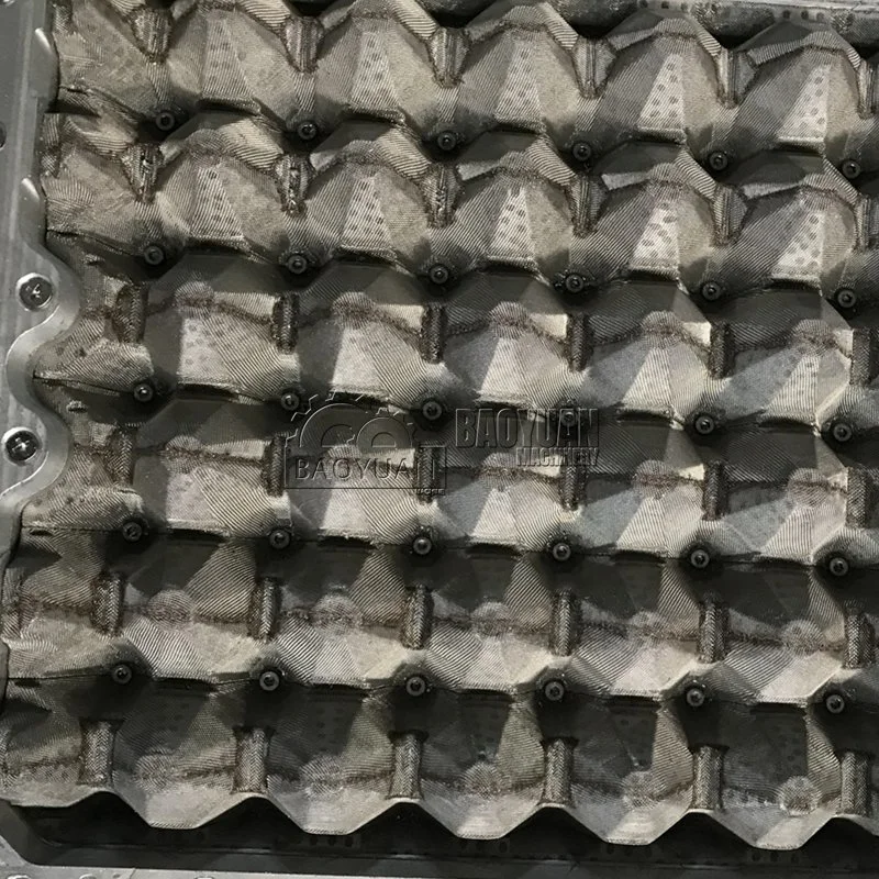Molde de moldeo de aluminio de la bandeja de huevos para el envasado de huevos
