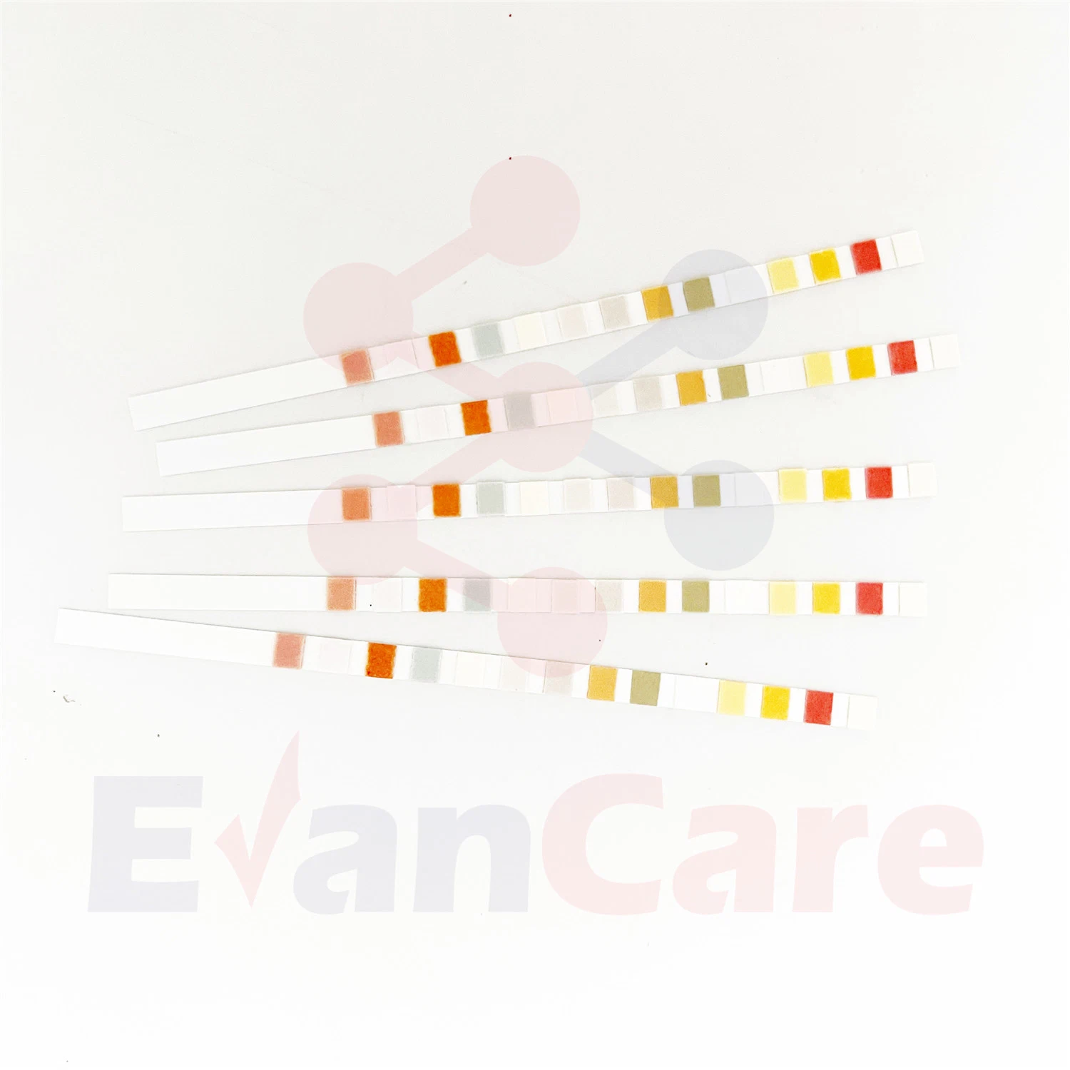 Evancare Urinanalysesystem Urintest Urs-10t Streifen