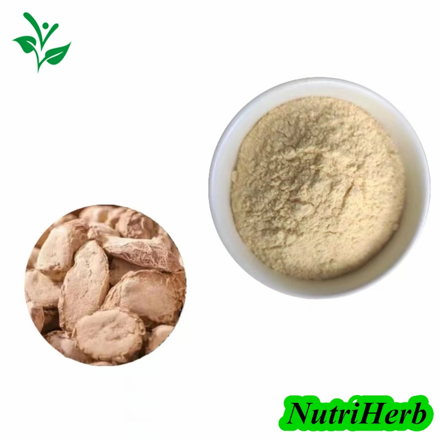 Nutriherb Supply Fructus Sophorae Extract 98% Kamferol Kaempferol Powder