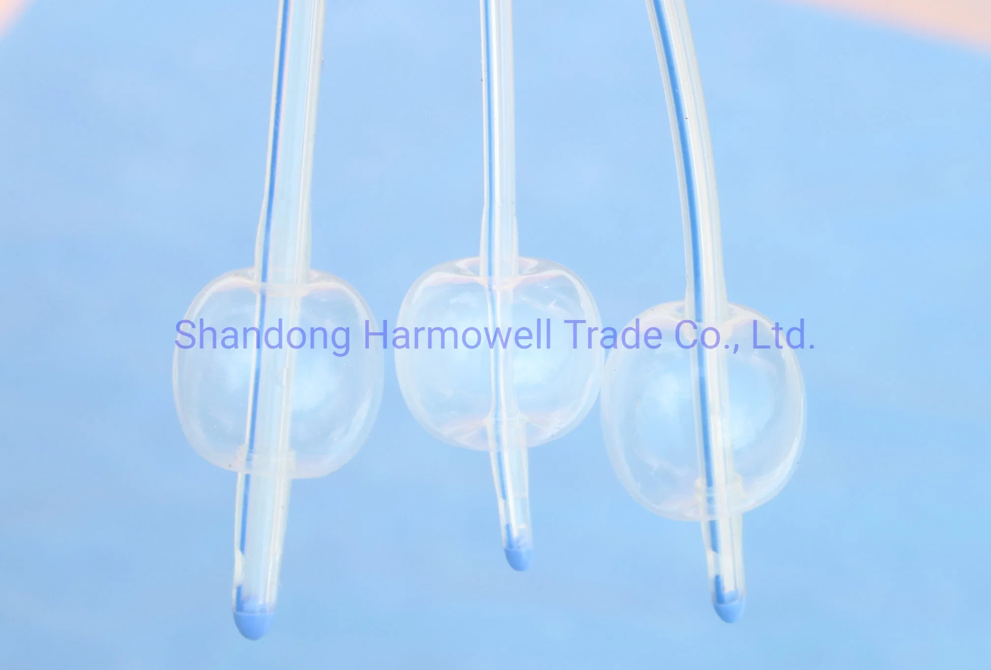 Health & Medical Silicone Foley Catheter 2-Way