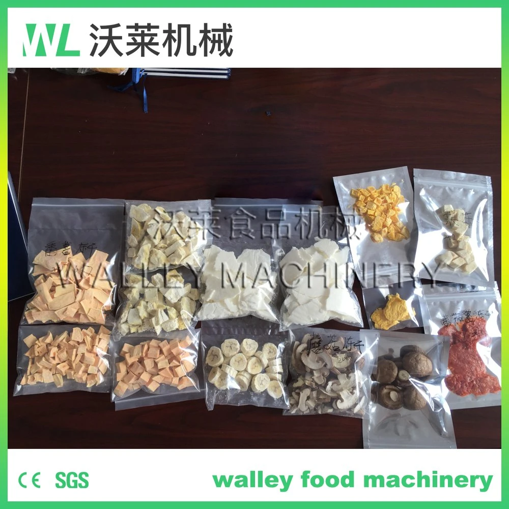 China Carrot Potato Pumpkin Vacuum Freeze Dryer