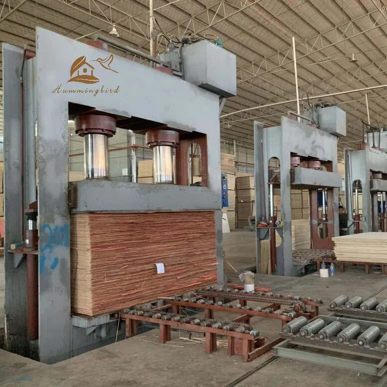 Wood Making Machine Manufacturer Cold Press Machine for Plywood with Automatic Loader