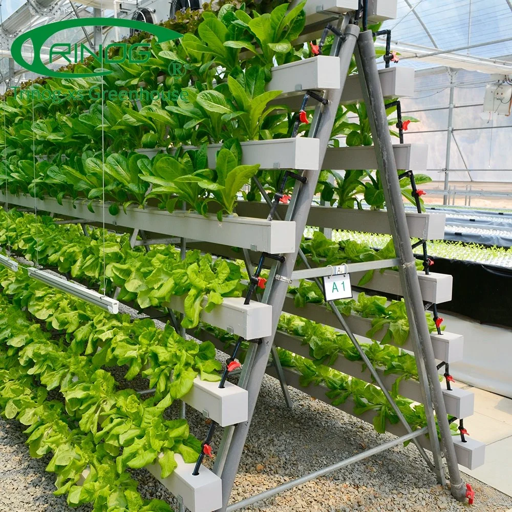 Trinog greenhouse A frame stand vertical hydroponics system for sale