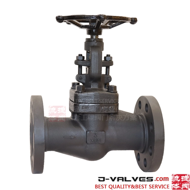 Forged Steel A105 13%Cr Trim Reduced Port Socket Welding Flange RF Globe Valve