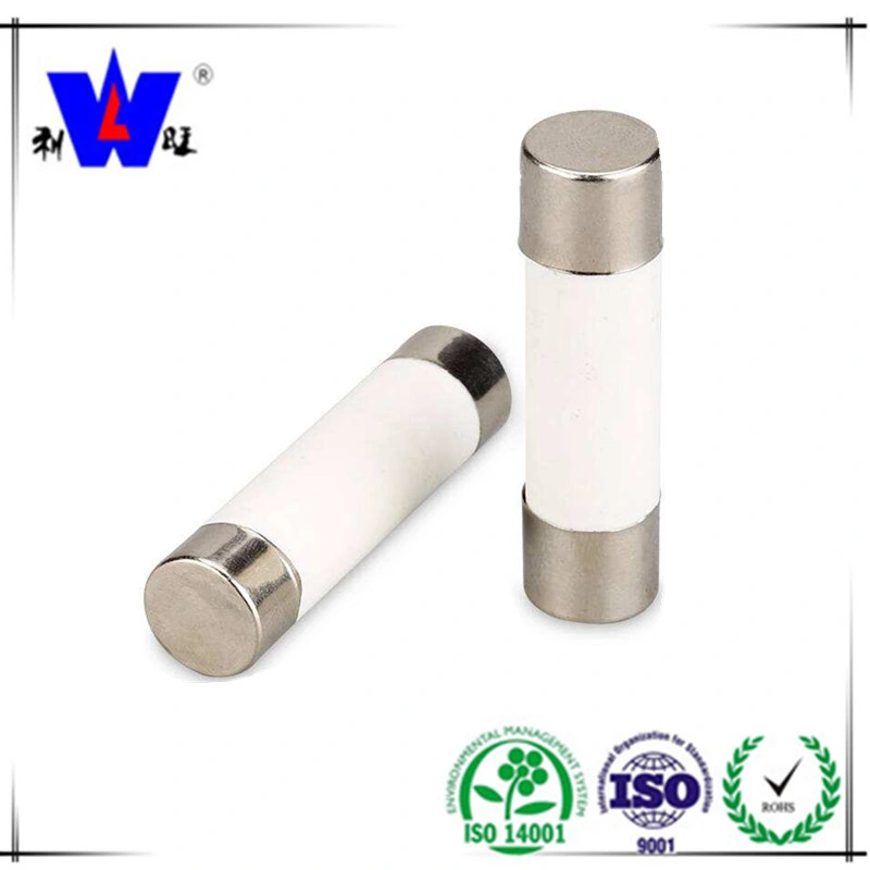 High quality/High cost performance  Low Voltage Resisitor DC Auto Thermal Fuse