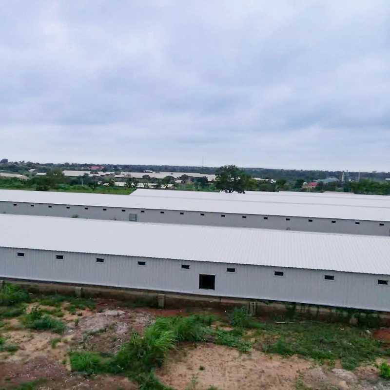 Haute qualité Structure légère en acier préfabriqués ferme avicole de la chambre de poulet