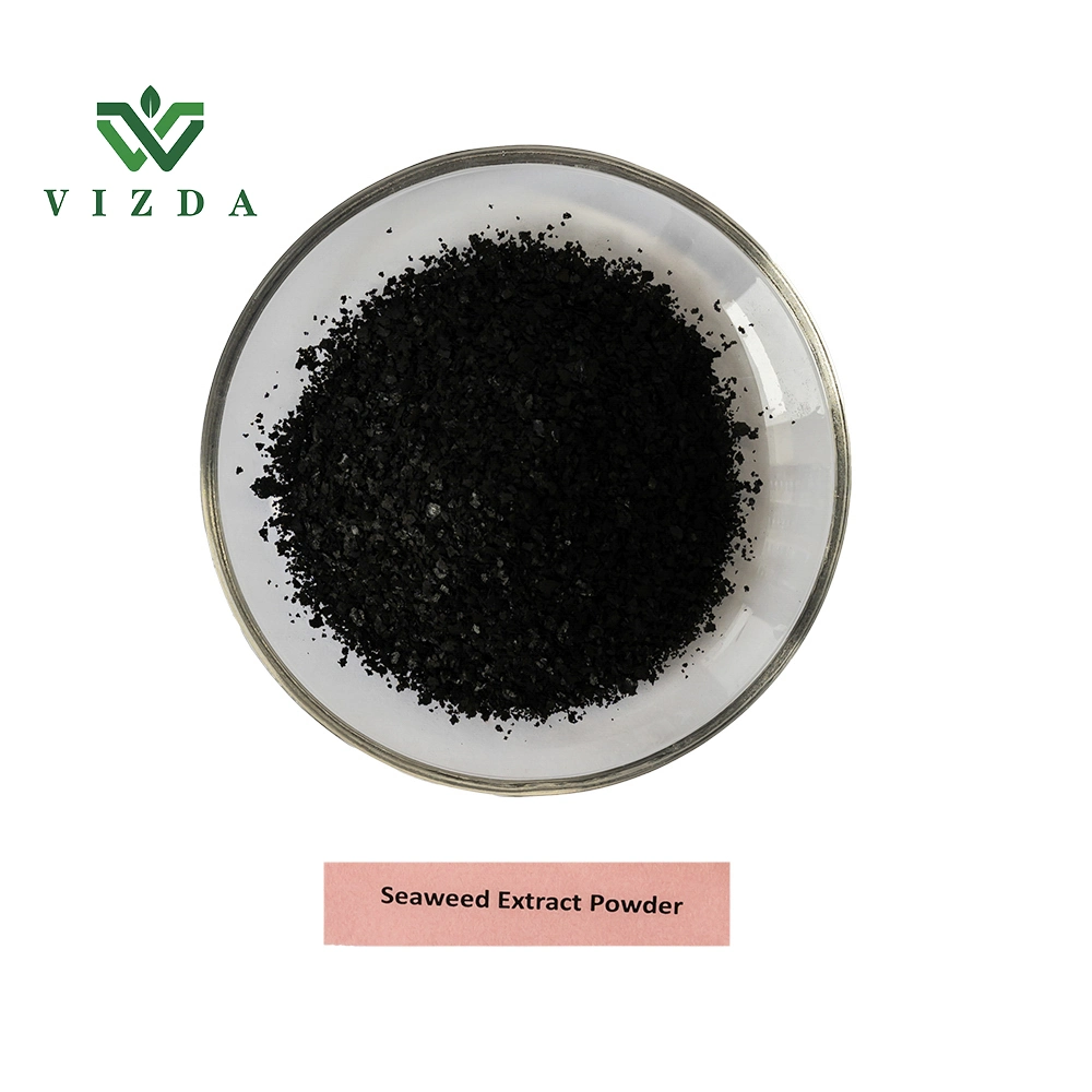 Kelp Seaweed Extract Powder for Fertilize CAS 84775-78-0