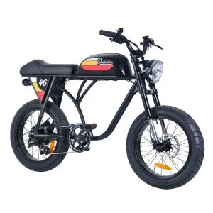 2024 New Product with Unique Design Electric Bicycle 500W 750W Motor 48V 20 Inch Fat Tire