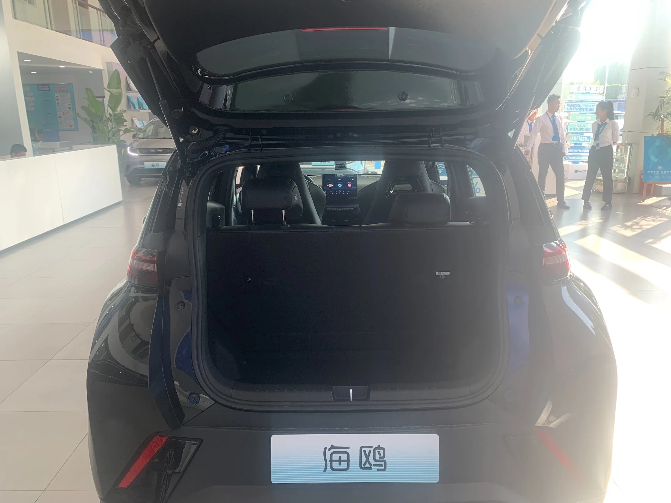 Advanced Safety Systems Fast Charging Byd Seagull New Energy Vehicle