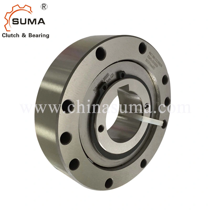 Fxm Integrated Freewheels Bearing Backstop Clutch (Sprag clutch)