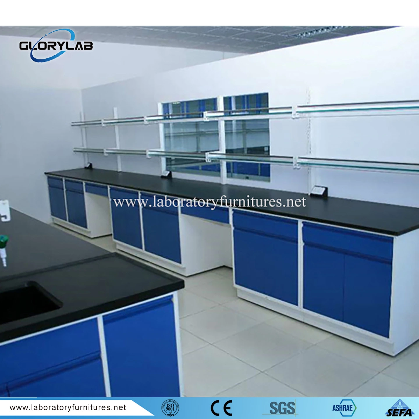 Chemical Resistant Lab Table School/University Lab Furniture Jh-SL208