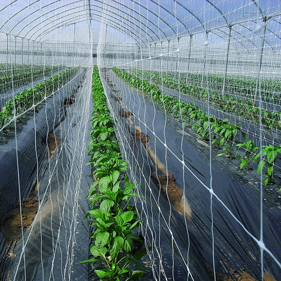 Jardín de altas prestaciones Red de Trellis Polipropileno Blanco Red de Trellis planta Apoyo Jardín neto para la escalada de hortalizas Frutas Flores plástico Trellis