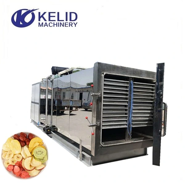 Dragon Fruit Mango Kiwi Fruits Industry Vacuum Freeze Drying Equipment