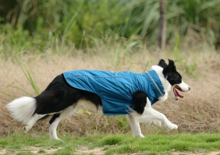 Ropa de mascota perro Coldproof cálido abrigo prendas de vestir ropa al aire libre