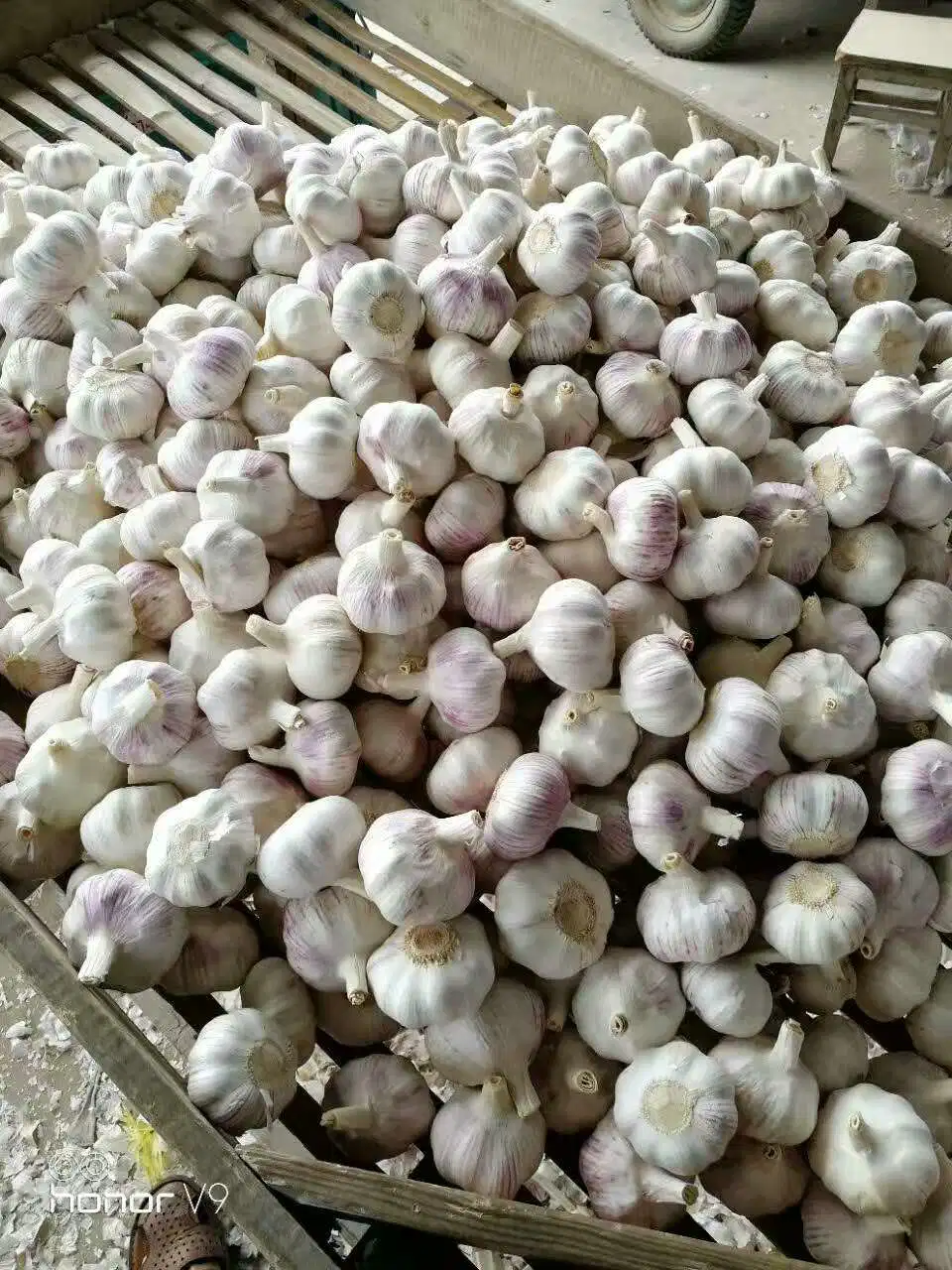 Health Normal White Garlic