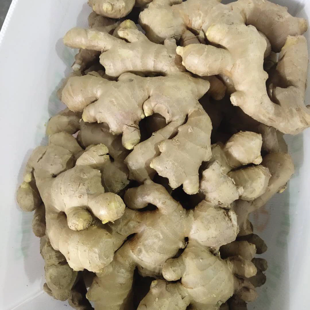 European Good Quality Air Dry Ginger