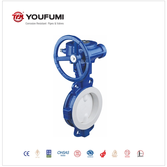 PTFE Full Flined Butterfly Valve for Power Plant