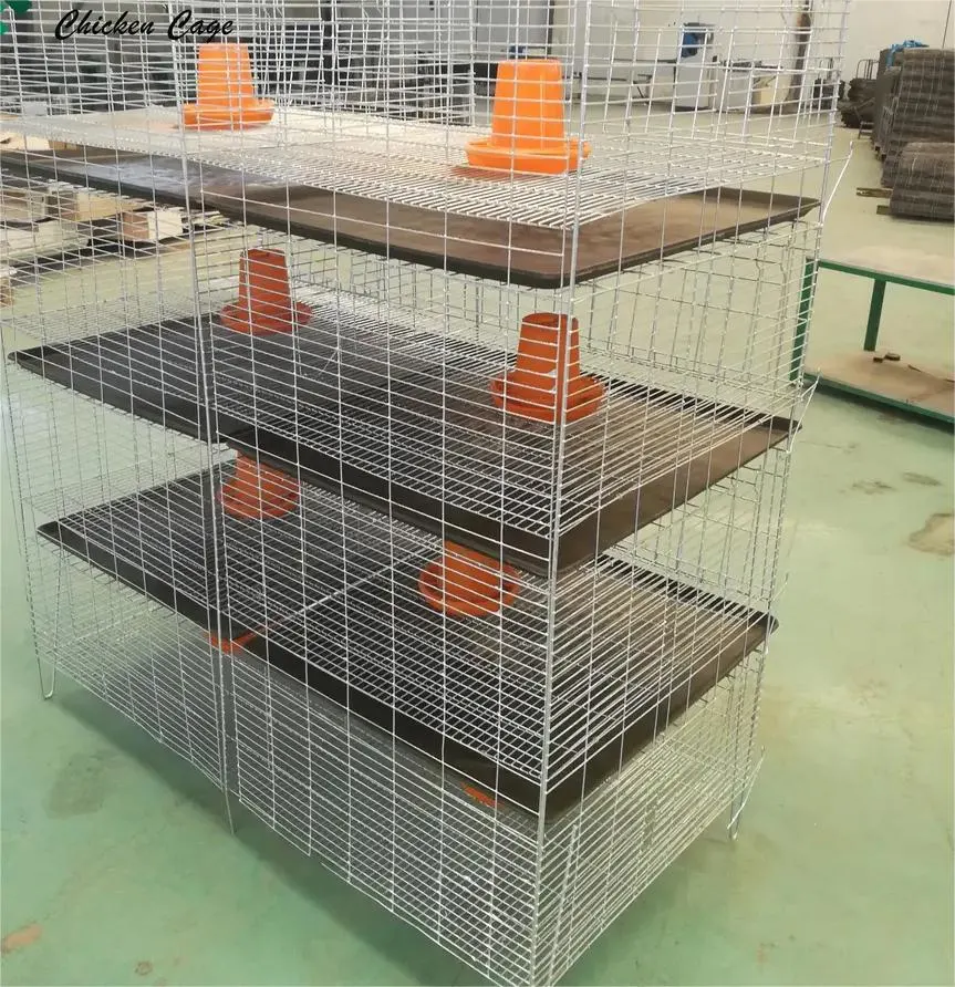 Low Price Wire Mesh Steel Automatic H Type 3 4 5 Tiers Chicken Pullet Breeding Cage for Baby Chicks