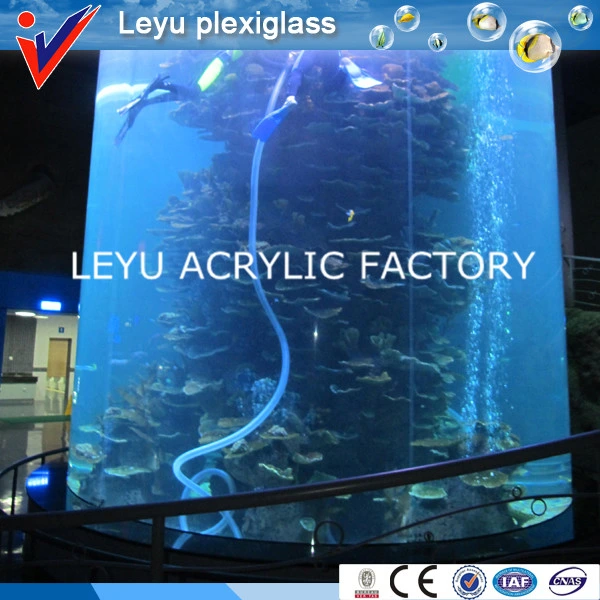 Large Acrylic Cylinder Fish Tank in Ocean Aquariums