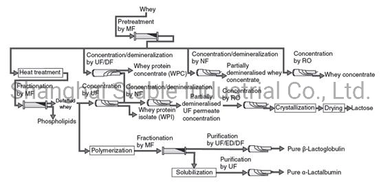 Membrane Application for Dairy Products