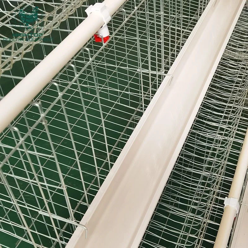 Zinc Aluminum Multi Tiers  Layer Chicken Cage With Automatic Drinking And Feeding System