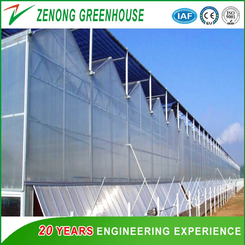 Gutter Connected PC Greenhouse with Automatic Ventilation/Cooling/Irrigation System for Seed Breeding