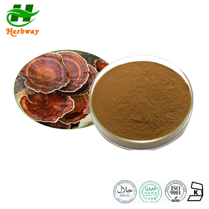 Herbway Reishi Extracto de setas Ganoderma Lucidum (Leyss ex Fr.) Productos para el cuidado de la belleza del extracto de karst para las mujeres