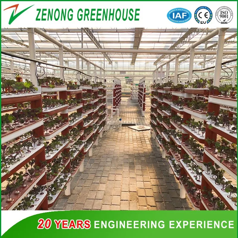 Multispan PC Greenhouse with Hydroponics Equipment for Soiless Cultivation