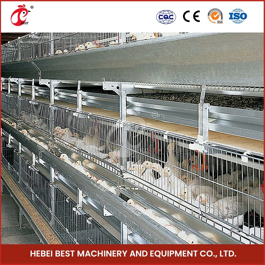 Bestchickencage H Type Pulled Brooder Cage Breeder Cage China Chicken Breeder Pullet Cage Factory OEM Custom Bamboo Material Baby Broiler Chicken Cage a Type