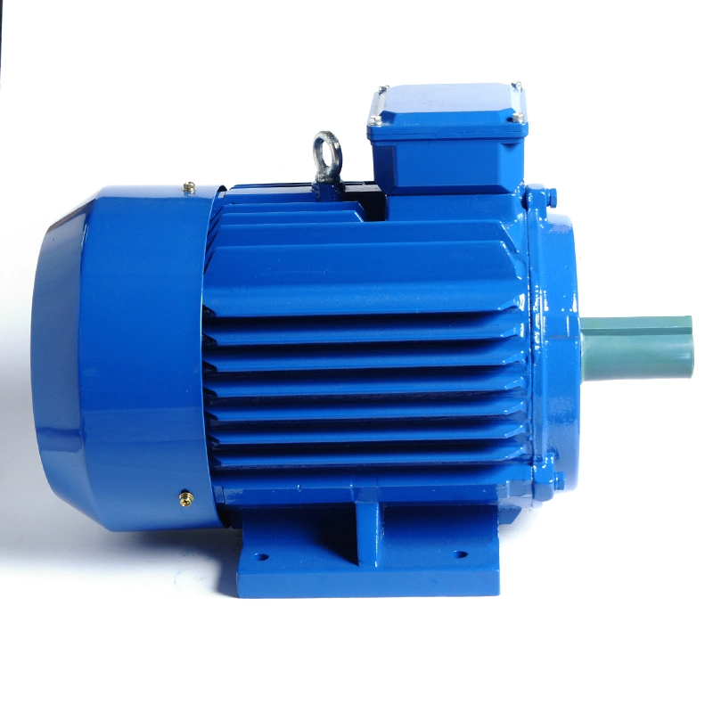 Ie3 Premium Efficiency Electric Motor