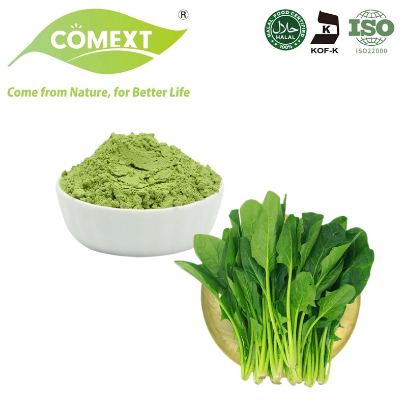 Comext Food Grade Natural Spinach Extract Vegetable Spinach Extract Powder