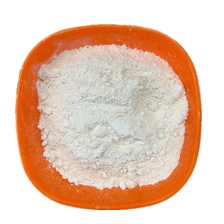 Sodium Benzoate Food Grade Preservative Price of Benzoic Acid Sodium Benzoate Powder