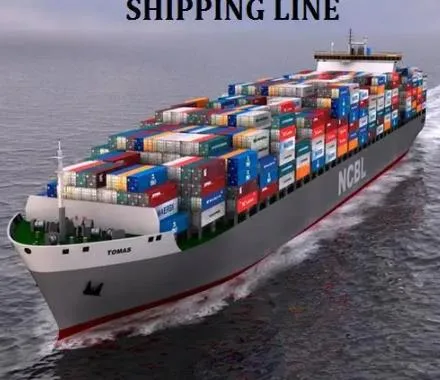 DDP DDU Sea/Air/Express Shipping Service Agents China to South Africa