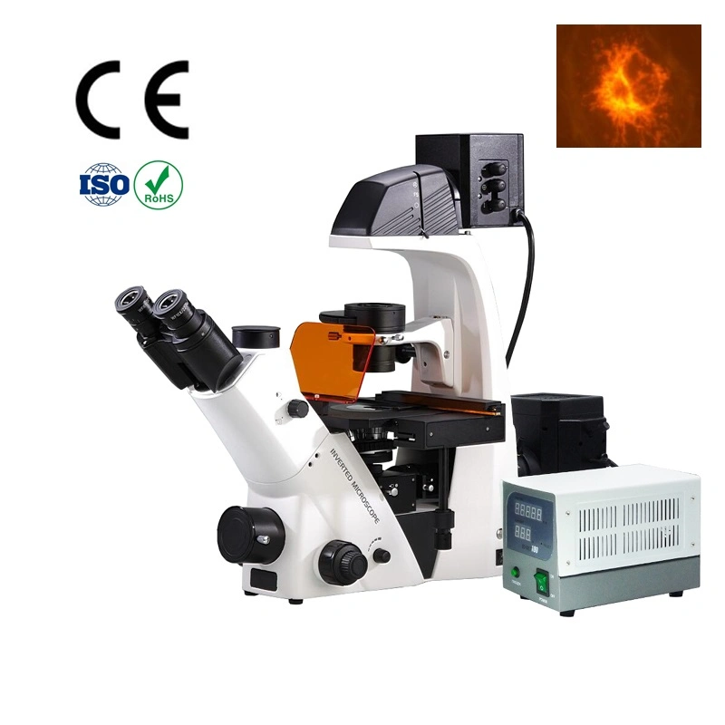 Microscopio de fluorescencia profesional de Laboratorio biológico utilizado en investigación científica BDS Serie