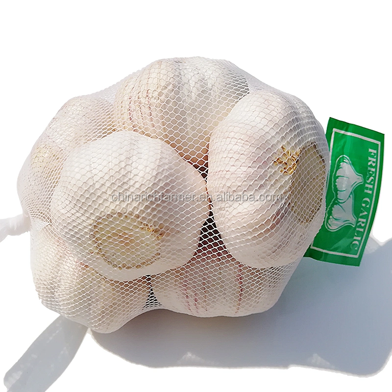 2022 China Mesh Bag Packing Nat Fresh Garlic in Bulk