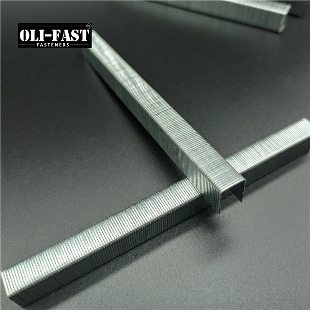 22ga Galvanized 71/12 Upholstery Staples with High quality/High cost performance 