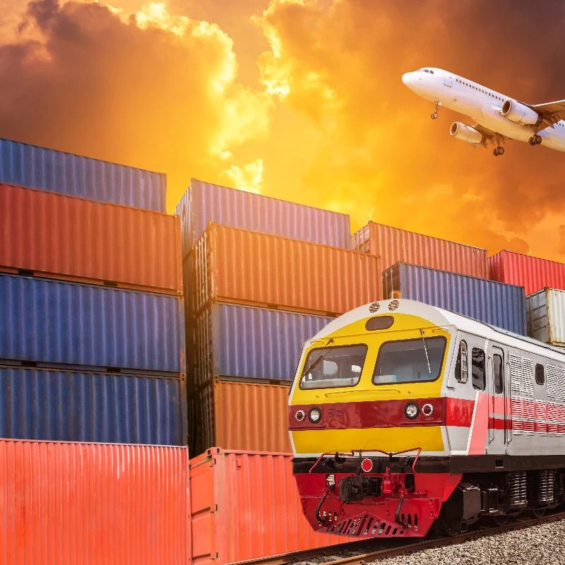 Professional Railway Transportation Cheap Railway DDP Freight China to Russia Europe