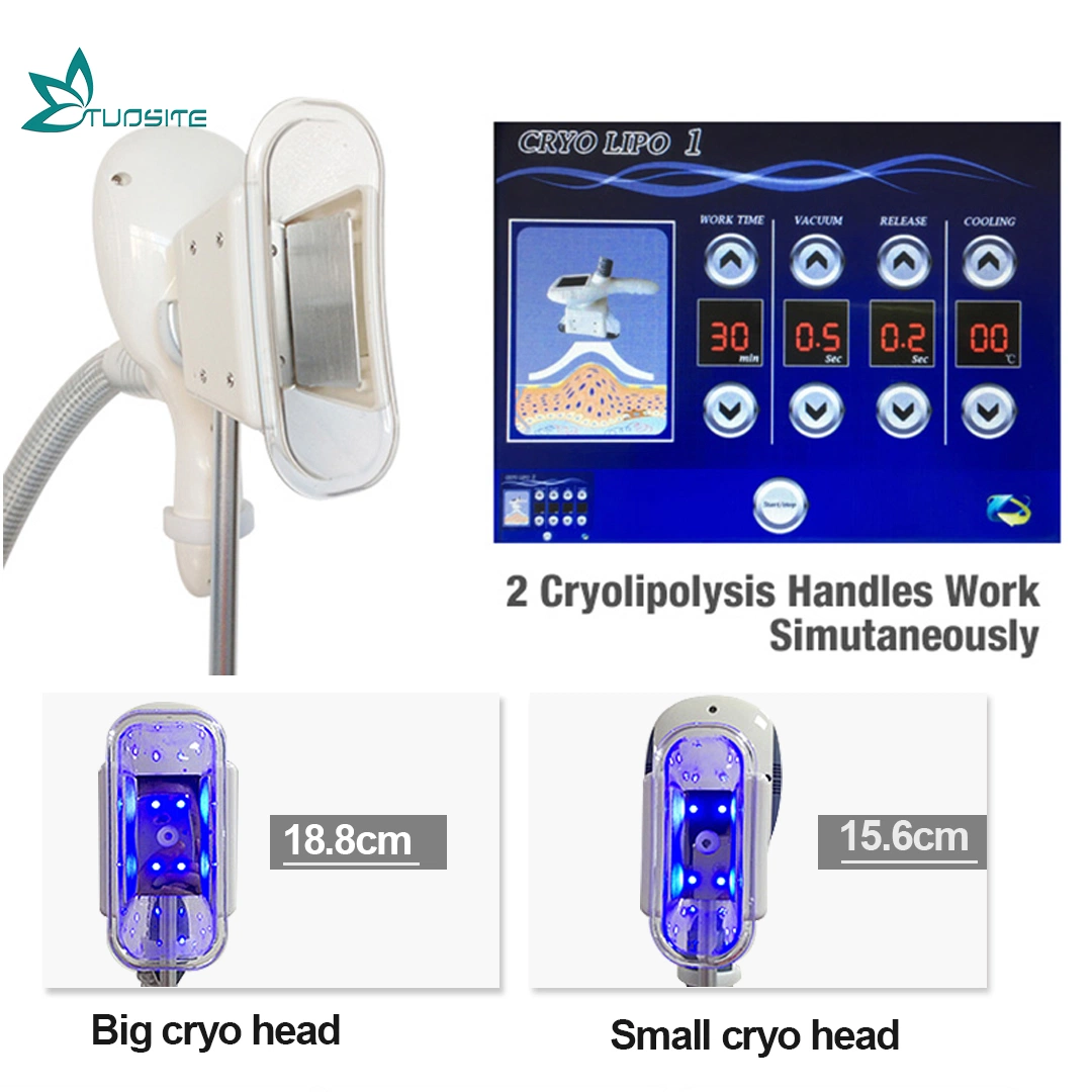 New Product Cryolipolysis Weight Loss Body Slimming and Shaping Beauty Equipment
